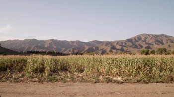 Watch the Sky screenshot 1