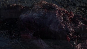 Werewolf: The Beast Among Us screenshot 2