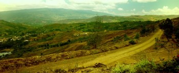 The Padre screenshot 1