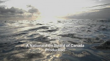 Bluefin screenshot 1