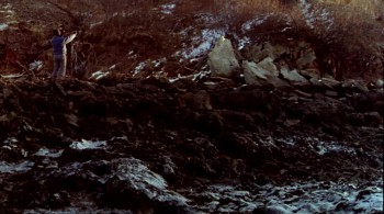 Rivers and Tides: Andy Goldsworthy Working with Time screenshot 3