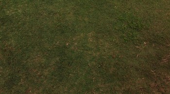 The Year of Getting to Know Us screenshot 1