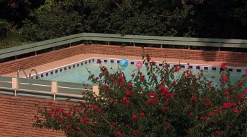 The Year of Getting to Know Us screenshot 2