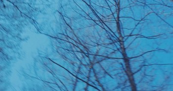 A Bay of Blood screenshot 3