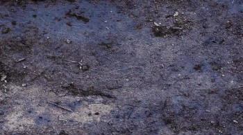 The Last Rites of Ransom Pride screenshot 1