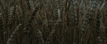 Gutland screenshot 1