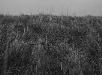 Brexitannia screenshot 2