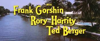 Where the Boys Are screenshot 3