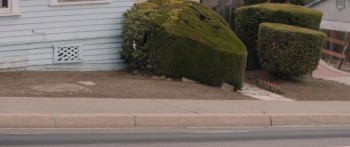 Destination Wedding screenshot 3