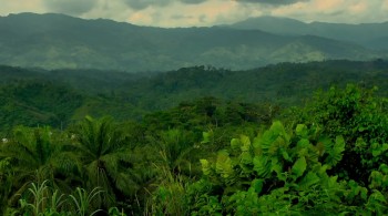 City of Joy screenshot 1