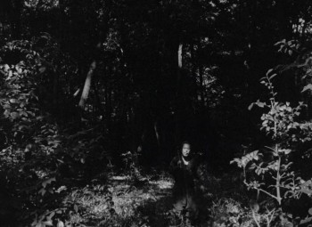 Rashomon screenshot 2