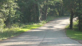 Party Night screenshot 1