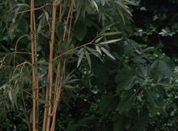 Rage of Honor screenshot 2