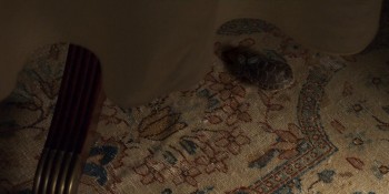 The Land of Steady Habits screenshot 3