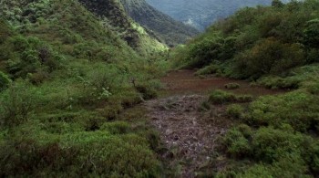 Alien Predator screenshot 1