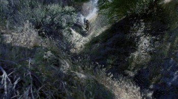 Alien Predator screenshot 3