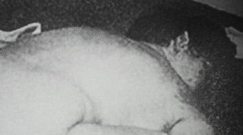 Reversing Roe screenshot 3