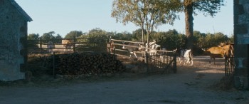 The Guardians screenshot 2