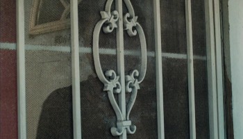 Like Dandelion Dust screenshot 1