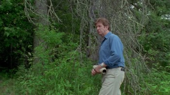 Who Loves the Sun screenshot 1