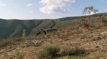 Santoalla screenshot 3