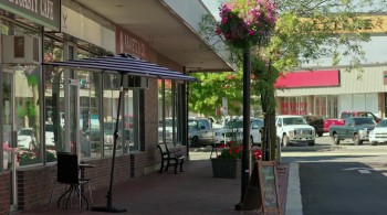 Bad Tutor screenshot 1