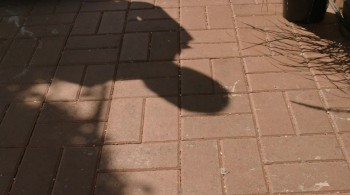 Ring of Deception screenshot 2