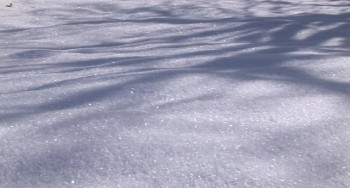 Anne Clark: I'll Walk Out Into Tomorrow screenshot 2