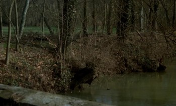 Fascination screenshot 1