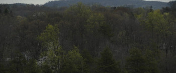 I Think We're Alone Now screenshot 2