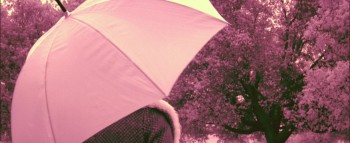 Izzy Gets the Fuck Across Town screenshot 3