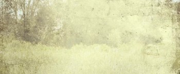 The Outer Wild screenshot 1