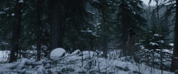 Hold the Dark screenshot 1