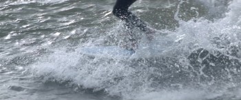 The Tribes of Palos Verdes screenshot 1