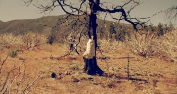 4/20 Massacre screenshot 1