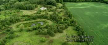 Strange Nature screenshot 1