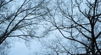 Painless screenshot 1