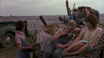 A Painted House screenshot 2