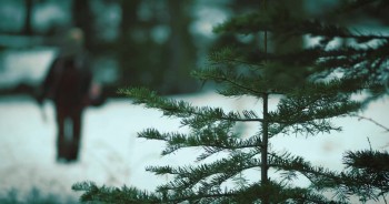 Playing with Dolls: Havoc screenshot 3