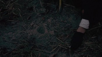 Dracula A.D. 1972 screenshot 1