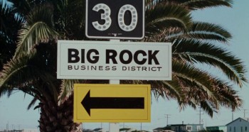 The Born Losers screenshot 2