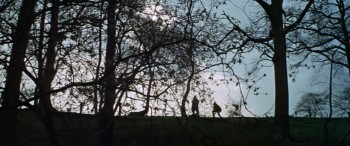 The Belstone Fox screenshot 1