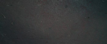 Brothers' Nest screenshot 2