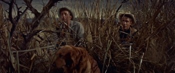 Home from the Hill screenshot 1