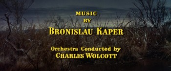 Home from the Hill screenshot 2