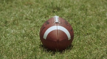 Black Sheep screenshot 2