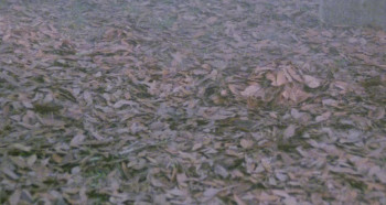 City of the Living Dead screenshot 1