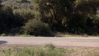 Cabin Boy screenshot 1