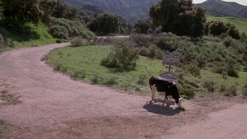 Cabin Boy screenshot 2