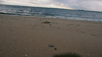 Madeline's Madeline screenshot 1